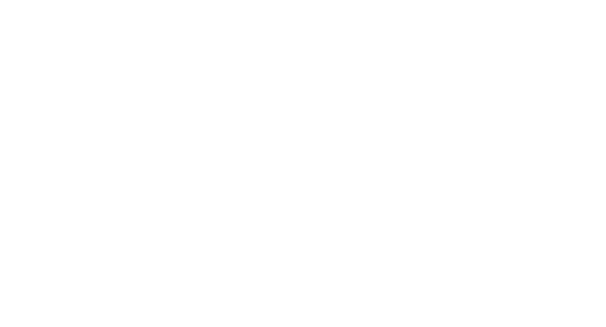WordPress Entwicklung